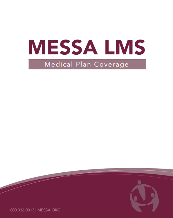 MESSA LMS Plan Booklet PDF Link