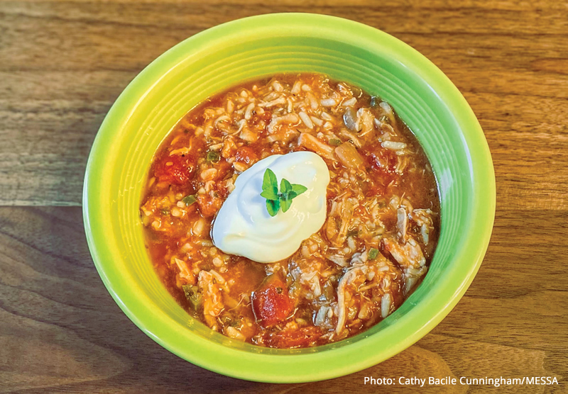 Mexican chicken stew MESSA